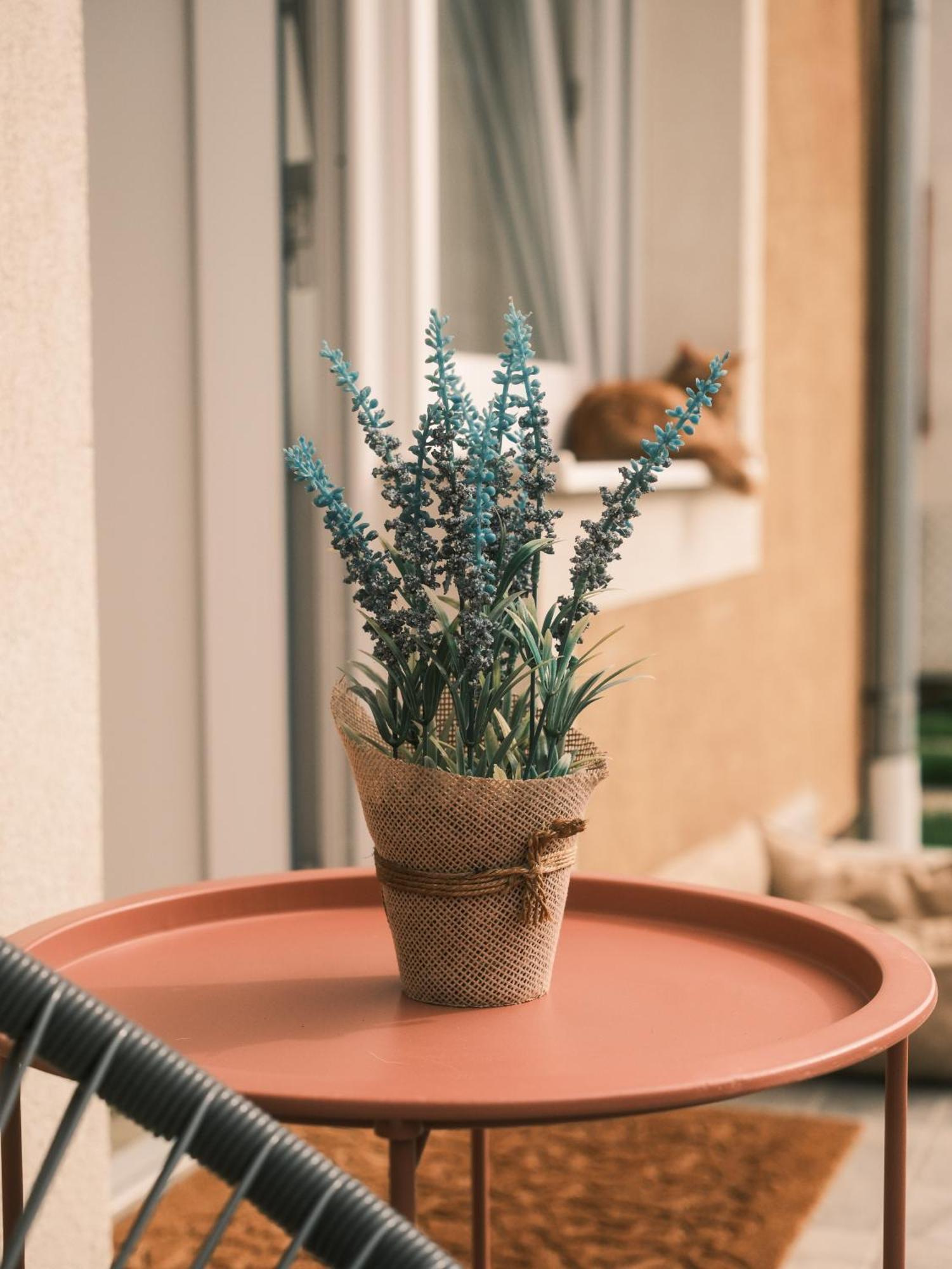 Apartmani Venium Križevci Exterior foto